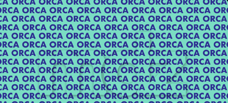 Con cada nuevo reto que aparece en redes, miles de usuarios se suman a la búsqueda Foto: Archivo MDZ