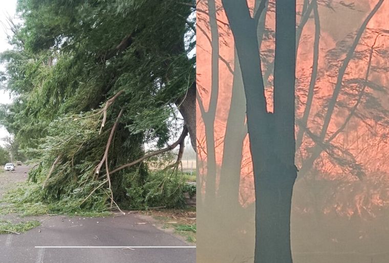 Desde la Municipalidad de Tunuyán pidieron transitar con precaución. Desde la Municipalidad de Tunuyán pidieron transitar con precaución.