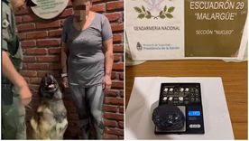 El can Mambo junto a la mujer detenida con cocaína. El can Mambo junto a la mujer detenida con cocaína.