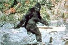 increible: los seres sobrenaturales y las leyes