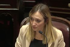 La senadora Anabel Fernández Sagasti en la sesión de este jueves. La senadora Anabel Fernández Sagasti en la sesión de este jueves.