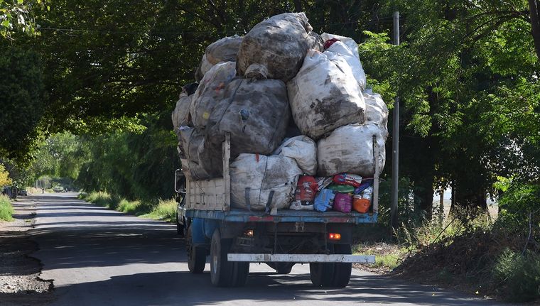Un camión de residuos atropelló y mató a un jubilado que venía en bicicleta en La Plata. Un camión de residuos atropelló y mató a un jubilado que venía en bicicleta en La Plata.