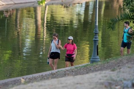 El pronóstico anticipa una máxima de 31ºC.&nbsp;