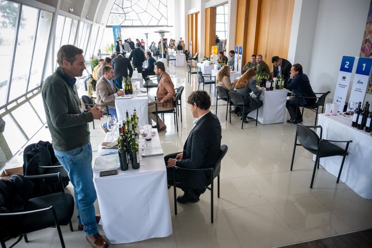 Vinexpo Explorer Mendoza 2026: The Bulk Wine Chapter pasó con éxito por la provincia con un gran potencial de negocios.&nbsp;