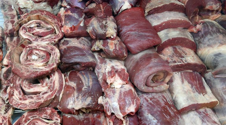 Aumento de los Cortes Cuidados, que no se consiguen, llevan a buscar nuevas opciones. Foto: ALF PONCE MERCADO / MDZ