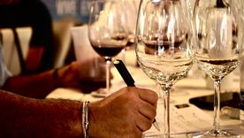 Este es el vino argentino que un grupo de 75 enólogos eligió como el mejor