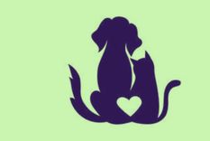 Test de personalidad