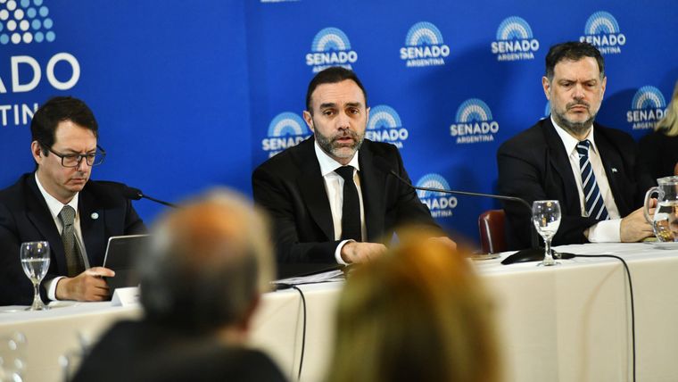 Ezequiel Atauche (La Libertad Avanza) en la comisión de Presupuesto y Hacienda del Senado.