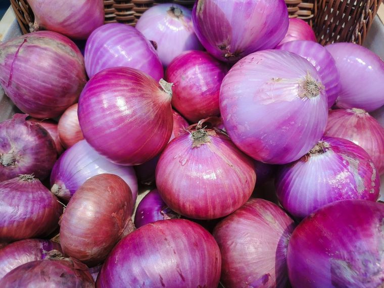 Una aliada para tus plantas. Foto: Fuente: Shutterstock