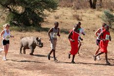 la ardua tarea del hombre que detecta tramposos en maratones