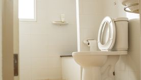 Inodoro. Foto: Shutterstock Inodoro. Foto: Shutterstock