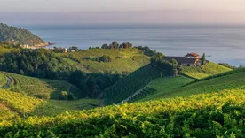 Los vinos de España en la Argentina. Los vinos de España en la Argentina.