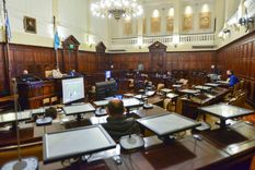 Foto: Prensa Senado de Mendoza