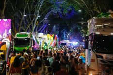 El jurado eligió a los carros ganadores por decisión unánime Foto: Prensa Mendoza