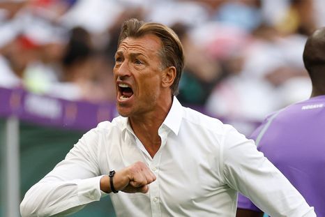 Hervé Renard vuelve a dirigir un Mundial: es el nuevo DT de Túnez. Hervé Renard vuelve a dirigir un Mundial: es el nuevo DT de Túnez.