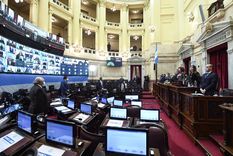 El Senado Nacional tratará el proyecto de etiquetado hoy. Foto: Prensa Senado Nacional.