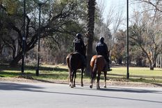 Foto: ALF PONCE MERCADO / MDZ Foto: ALF PONCE MERCADO / MDZ