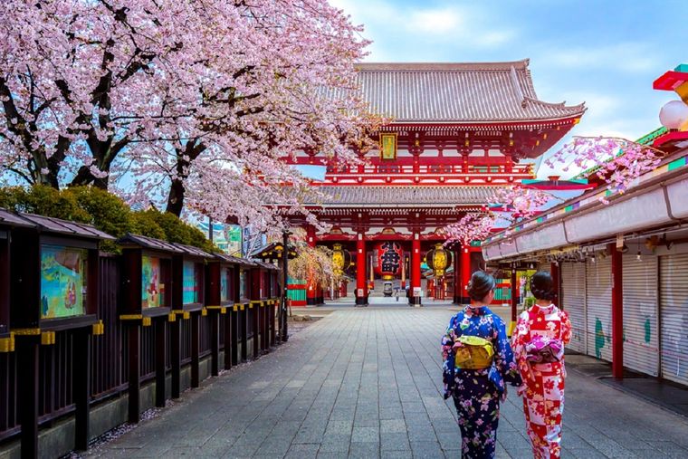 Japón ofrece visas Working Holidays para quienes quieran vivir y trabajar allí por 12 meses Foto: shutterstock