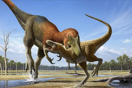 El estudio arrojó un descubrimiento sobre la evolución de los dinosaurios. Foto: Efe El estudio arrojó un descubrimiento sobre la evolución de los dinosaurios. Foto: Efe