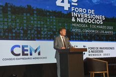 crece el interes extranjero por invertir en el oasis mendoza: los sectores que pican en punta