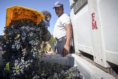 acuerdo mendoza-san juan: pese al pedido local, no habra mosto cero