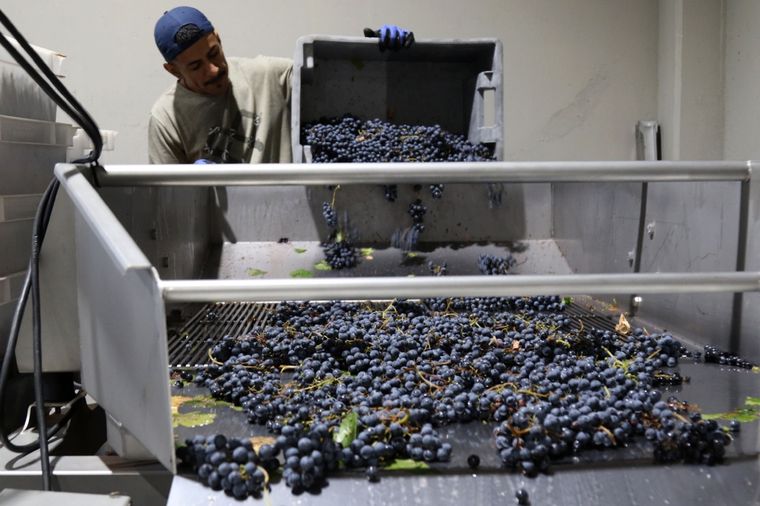 La Sitevinitech exhibe las nuevas tecnologías para la industria del vino y del agro. Foto: Maximiliano Ríos/MDZ