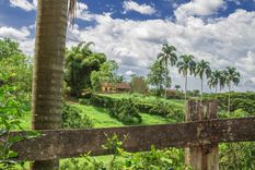 Quindío, en Colombia, cuenta con un gran número de destinos turísticos que cuidan el medio ambiente Foto: shutterstock