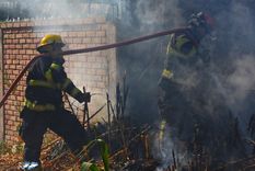 Imagen ilustrativa. Foto: Foto ilustrativa