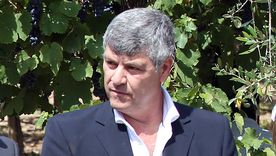 Cómo va a distribuir Nación los $7.100 millones para la producción