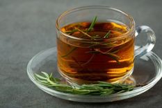 El té de romero tiene algunos efectos secundarios Foto: Shutterstock