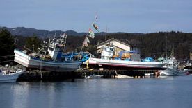 Japón sufrió otro fuerte terremoto, luego del de ayer. Foto Efe Japón sufrió otro fuerte terremoto, luego del de ayer. Foto Efe