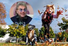 Beto Casella opinó sobre los therian en Rock & Pop.