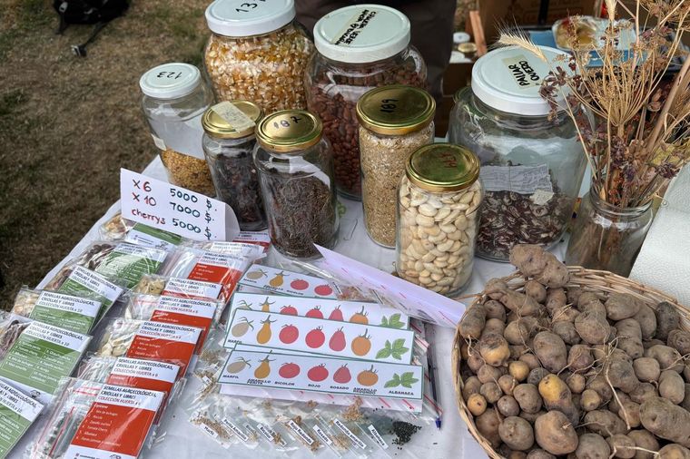 En la feria, algunas semillas se entregan a cambio de un valor simbólico que reconoce el trabajo de siembra, cosecha y selección de los agricultores En la feria, algunas semillas se entregan a cambio de un valor simbólico que reconoce el trabajo de siembra, cosecha y selección de los agricultores