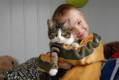 Esta es la razón por la que deberías adoptar un gato Foto: Archivo