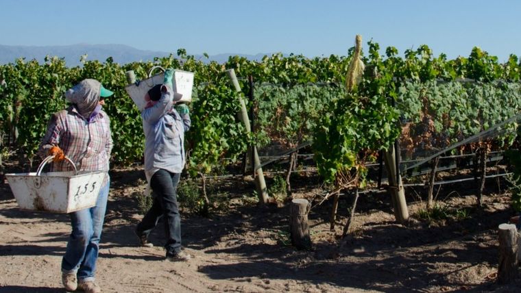 Los trabajadores representan uno de los recursos más importantes dentro cualquier sector. Foto: MDZ