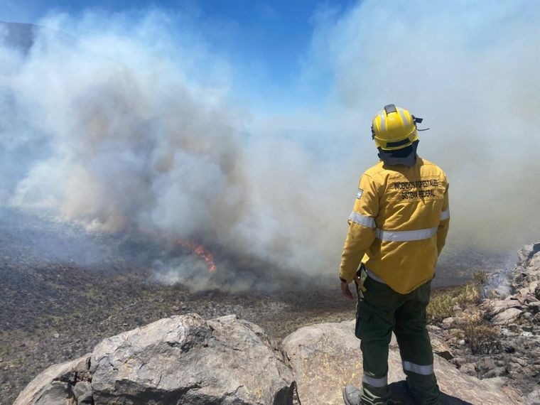 Los bomberos lograron contener el incendio forestal que se desató en una zona rural de San Rafael.