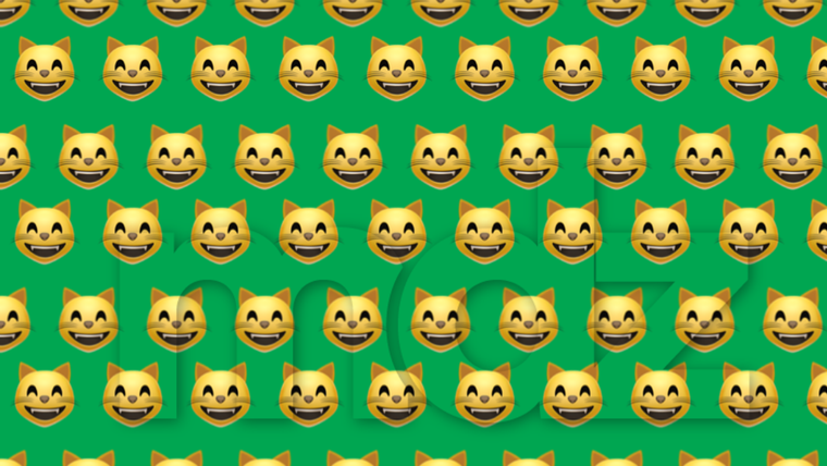 ACERTIJO VISUAL ACERTIJO VISUAL, RETO VISUAL, GATO Foto: MDZ ONLINE