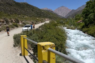 MDZol | El Arroyo Grande, en El Manzano, está invadido por la plaga. Foto: Walter Moreno/Mdz