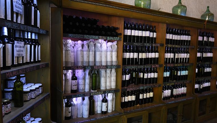 Foto: ALF PONCE MERCADO / MDZ