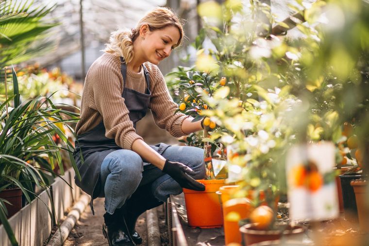 Algunos de los beneficios específicos de la jardinería terapéutica incluyen: salud física, salud mental y social. Foto: freepik