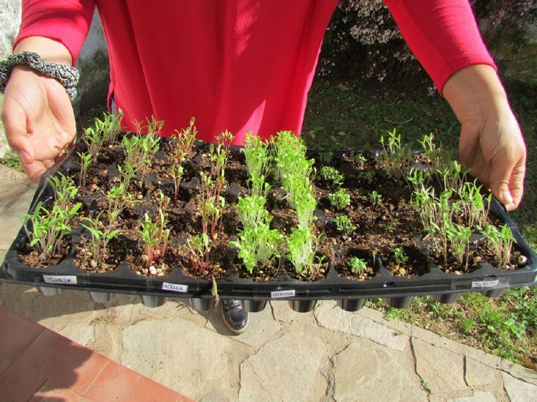 Septiembre es un mes de mucho trabajo en las huertas y jardines, manos a la obra Foto: INTA