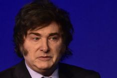 La frase de Javier Milei sobre el ajuste Foto: NA