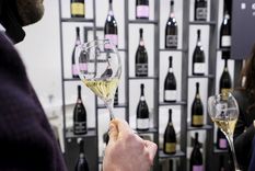 Los costos de la invasión de Rusia impactan en el vino italiano