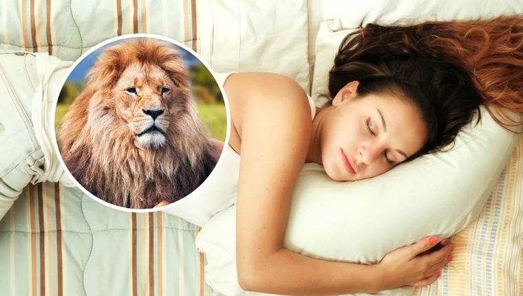 Las diferentes interpretaciones de soñar con un león (Shutterstock).