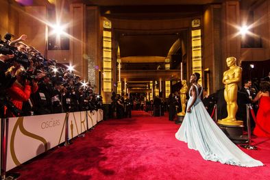 MDZol | Foto: Telokwuentos