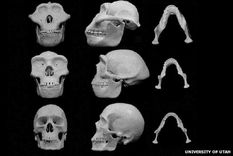 Foto: Universidad de Utah Foto: Universidad de Utah