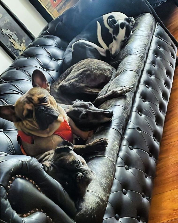 Buscan impulsar la ley Duque. Foto: Archivo