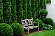 Un diseño simétrico le da un toque de encanto de época a un jardín. Imagen: ar.pinterest.com/aharrison1410/