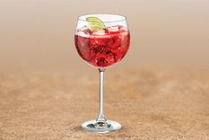 Te presentamos el trago del verano.