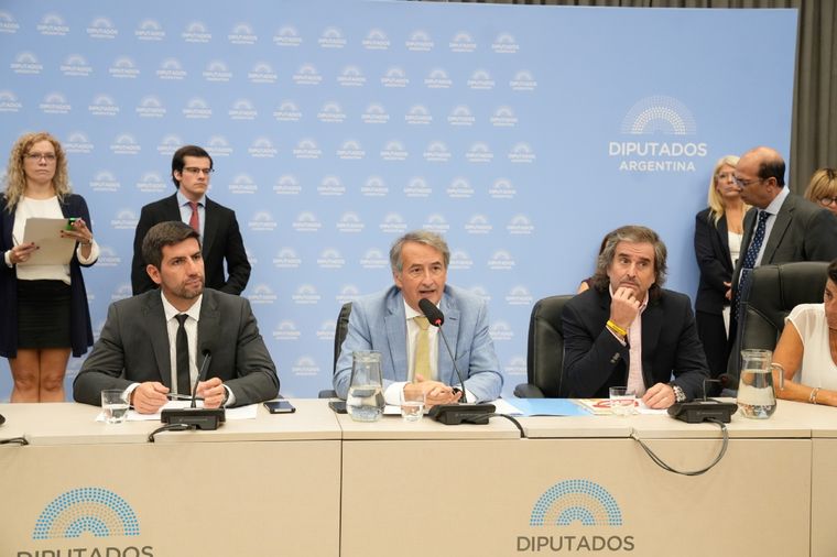 Duros cruces entre diputados oficialistas y opositores por el Libragate Foto: Diputados